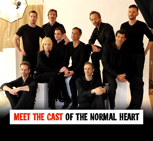the normal heart playbill. The Normal Heart.